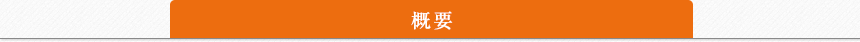 概要